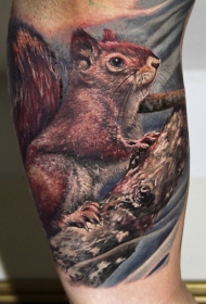 七彩写实的松鼠纹身图案