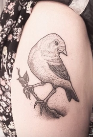 大腿鸟树枝小清新点刺纹身图案