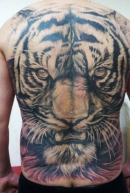 满背大型惊人的邪恶老虎头像纹身图案