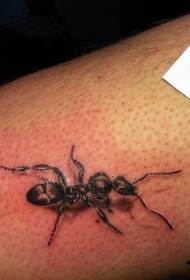 写实的黑色蚂蚁腿部纹身图案
