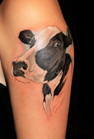 美丽逼真的奶牛头像大臂纹身图案