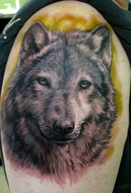 大臂令人难以置信的逼真3D彩色狼纹身图案