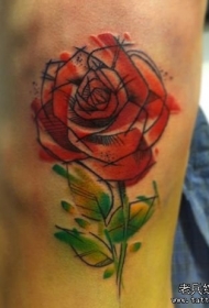 膝盖彩色欧美线条玫瑰纹身图案