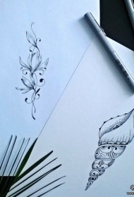 欧美海螺藤蔓纹身图案手稿