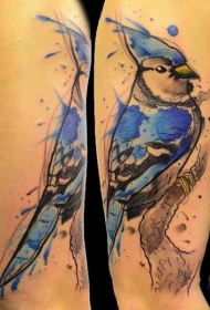 手臂水彩画风格美丽的鸟纹身图案