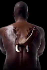 3D写实的创意大象满背纹身图案