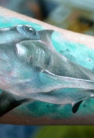 难以置信的逼真彩色鲨鱼手臂纹身图案
