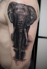 手臂超逼真的3D大象纹身图案