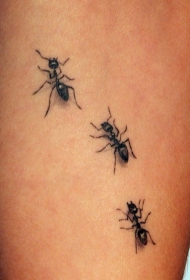 简单逼真的黑色蚂蚁手臂纹身图案