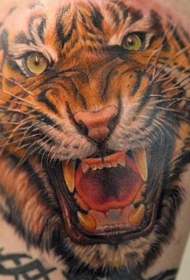 大臂彩色逼真的老虎头像纹身图案