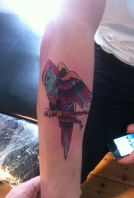 彩色鹦鹉小臂纹身图案