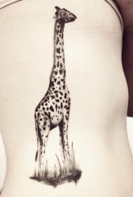 可爱的长颈鹿侧肋纹身图案