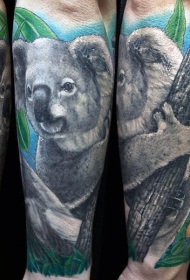 逼真的彩色考拉熊和树叶手臂纹身图案