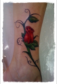 简易的彩绘红玫瑰脚踝纹身图案
