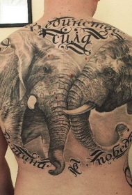 美丽的大象写实背部纹身图案