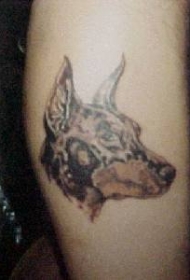 杜宾犬头像纹身图案