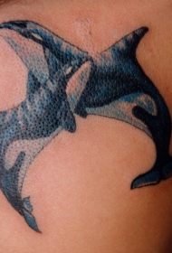 两个虎鲸精美纹身图案