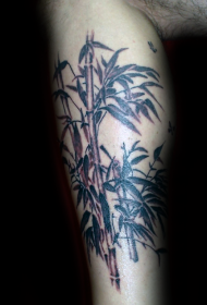 小腿个性的竹子纹身图案