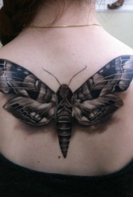女生背部很酷的3D黑色飞蛾纹身图案