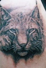 大臂3D手绘可爱的大野猫纹身图案