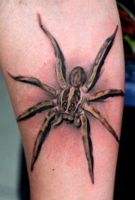 小腿写实的3D蜘蛛纹身图案