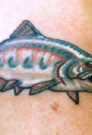 写实的彩色海底鱼纹身图案