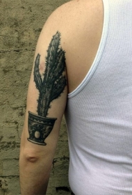 彩色小仙人掌盆栽手臂纹身图案