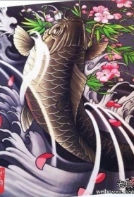 传统鲤鱼浪花和樱花纹身图案手稿