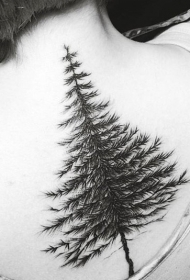背部精致的设计松树纹身图案