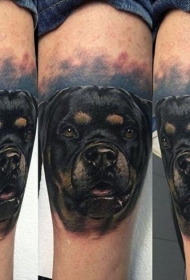 大腿真实的3D彩色罗威纳犬纹身图案