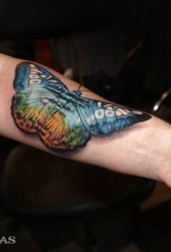 手臂3D非常逼真的自然彩色蝴蝶纹身图案