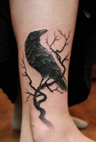 old school黑色的乌鸦和树枝脚踝纹身图案