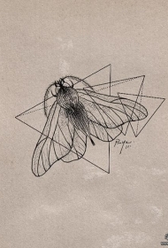 欧美飞蛾几何线条纹身图案手稿
