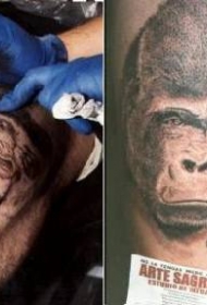 超级写实的大猩猩面部纹身图案