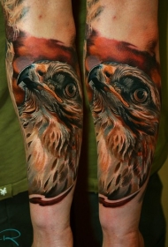 非常逼真的鹰彩绘手臂纹身图案