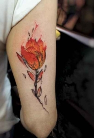 手臂经典的彩色火焰花朵纹身图案