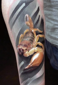 手臂非常漂亮的彩色写实蝎子纹身图案