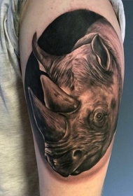 手臂3D写实逼真的野生犀牛纹身图案