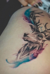 神奇的彩色鹿头像水彩风格纹身图案