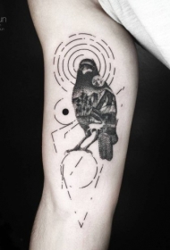 有趣的黑色神秘乌鸦和几何圆手臂纹身图案
