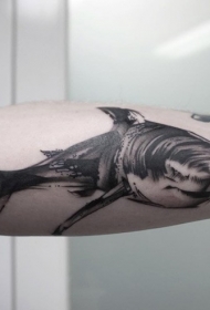 素描风格黑色大鲨鱼手臂纹身图案