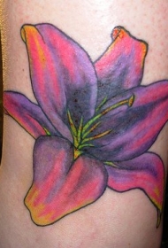 粉红和紫色的百合花脚踝纹身图案
