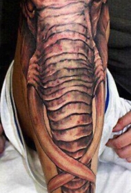 很酷的逼真的大象小腿纹身图案