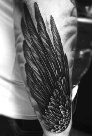 手臂简单的黑色精美羽毛翅膀纹身图案