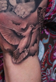 写实的经典鸽子手臂纹身图案