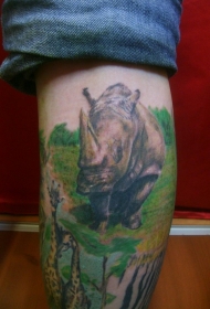 动物犀牛彩色小腿纹身图案