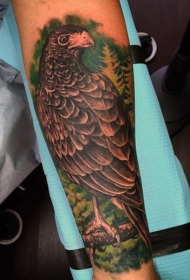华丽的天然彩色鹰和森林手臂纹身图案