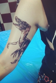 手臂神奇的恐龙纹身图案