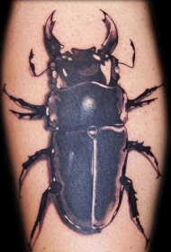 3d鹿角甲虫个性纹身图案