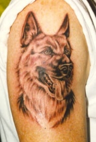 德国牧羊犬头像手臂纹身图案